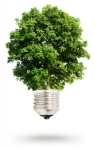 Green tree light bulb
